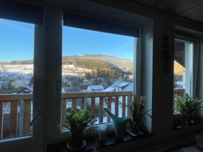 Apartmán Čížci Horní Maršov, Horní Marsov